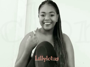 Lillylotus