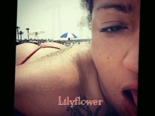 Lilyflower