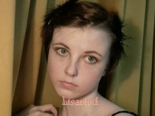 Lisaried