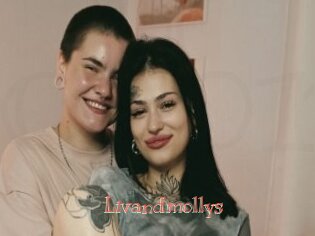 Livandmollys