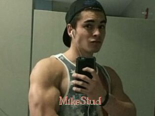 MikeStud