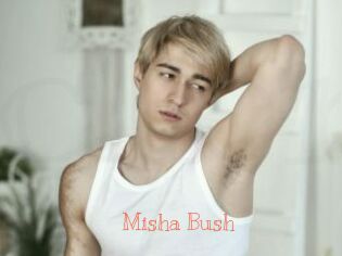 Misha_Bush