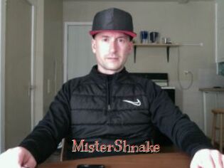 MisterShnake
