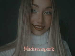 Madisonspark