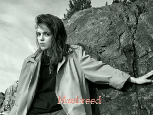 Maebreed
