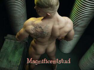 Magnificentstud