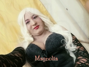 Magnolia