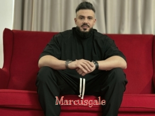 marcusgale Celebrix