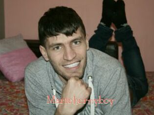 Mariohornyboy