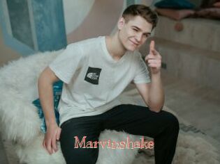Marvinshake
