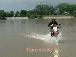 Maurillobig