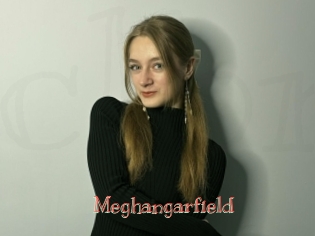 Meghangarfield