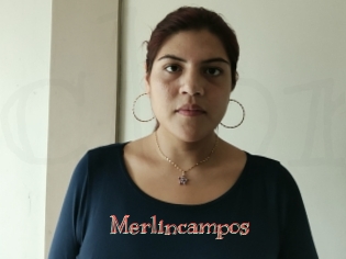Merlincampos