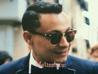 Metisslyon