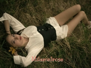 Milamelrose