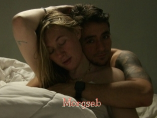 morgseb Celebrix