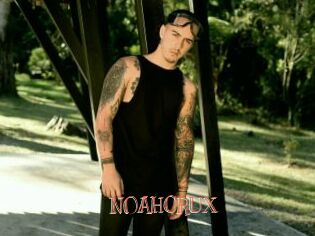NOAHCRUX Celebrix