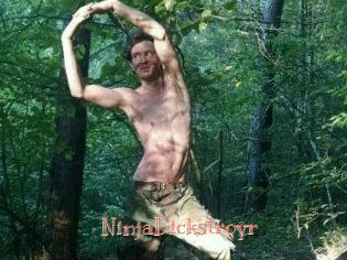 NinjaDickstroyr