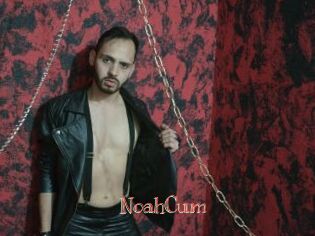 NoahCum