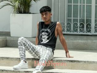 NoahFlymm