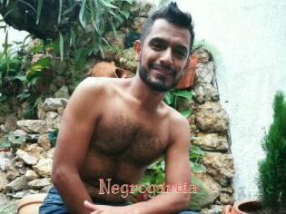 Negrogarcia