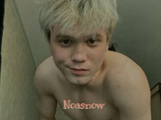 noasnow Celebrix