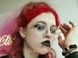 Noellepaws