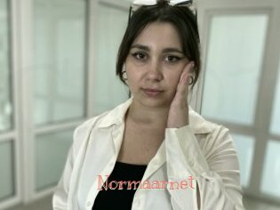 Normaarnet