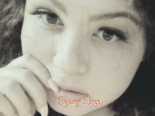 Opay_Skye