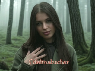 Odelinabucher