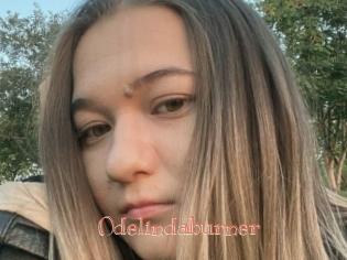 Odelindaburner