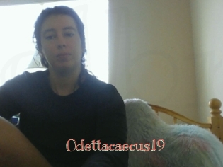 Odettacaecus19
