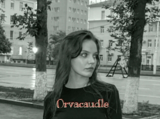 Orvacaudle