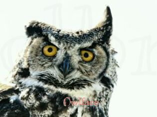Owlface