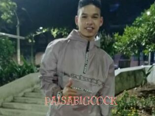 PAISABIGCOCK