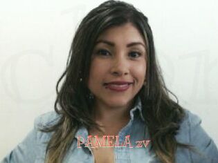 PAMELA_zv