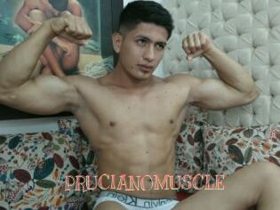 PRUCIANOMUSCLE