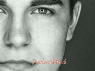 PerfectMind