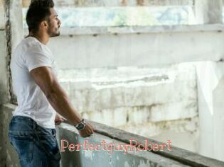 PerfectguyRobert