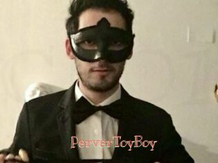 PerverToyBoy