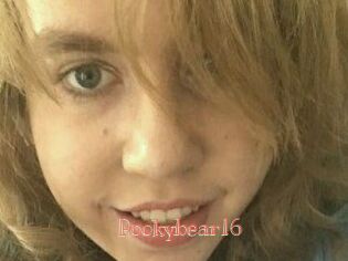 Pookybear16