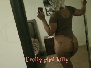 Pretty_phat_kitty