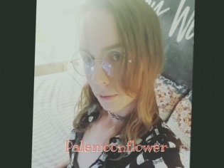 Palemoonflower