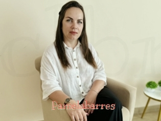Pamelabarres