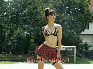 Pamelalaatinhot