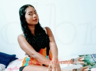 Pamelamontenegro