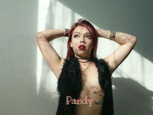 Pandy