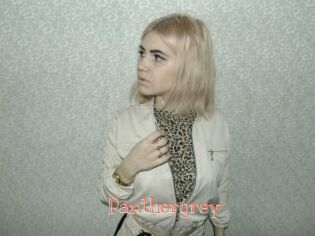 Panthergrey