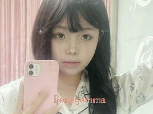 Penegemma