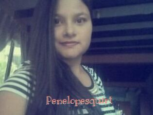 Penelopesquirt